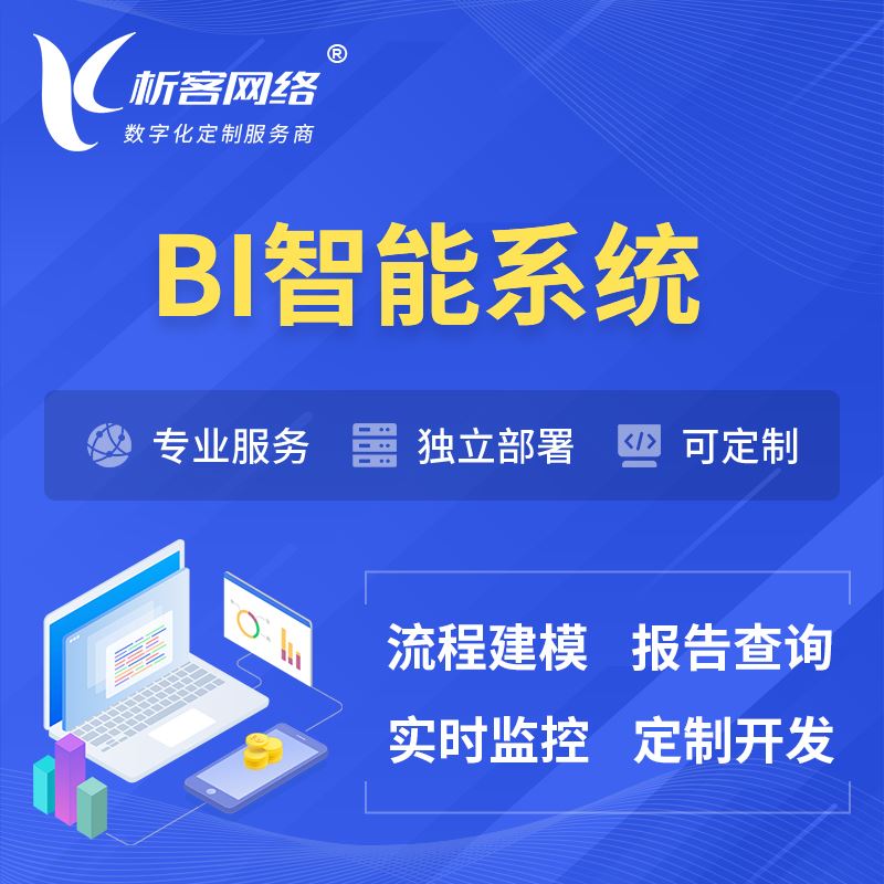 南京BI智能系统 | BI数据可视化